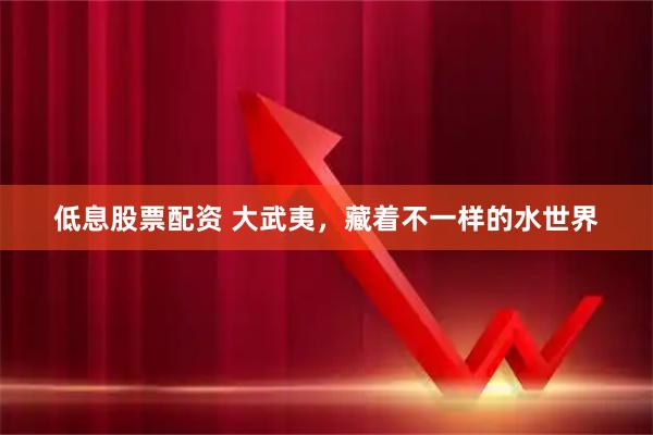低息股票配资 大武夷,藏着不一样的水世界